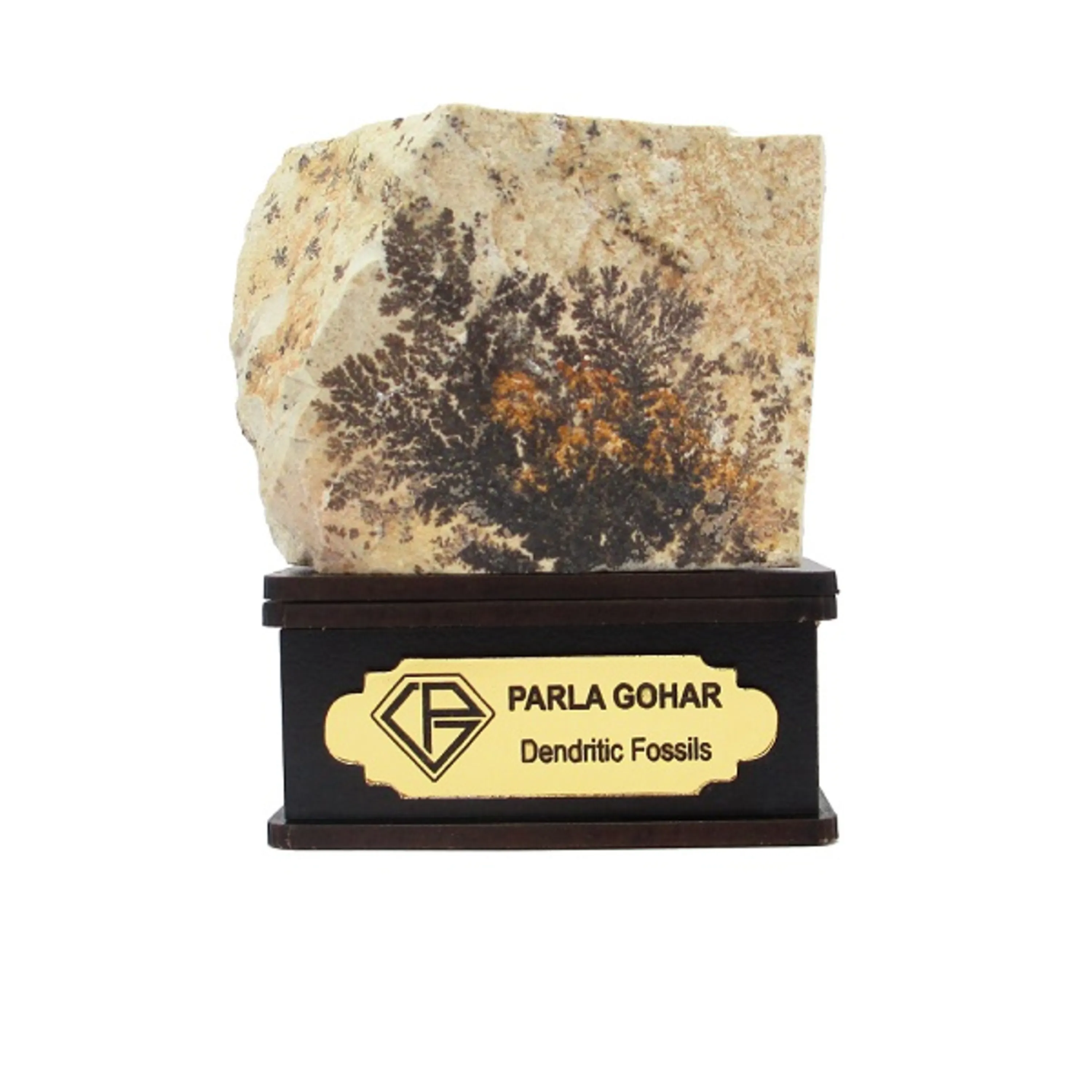 شجر راف کد 2363